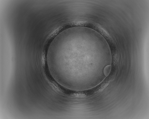 X0000113640644200909181457