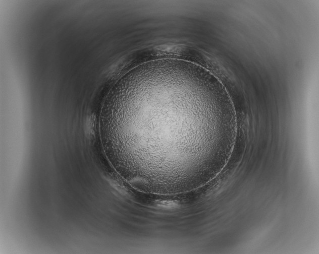 X0000113640649200909181457