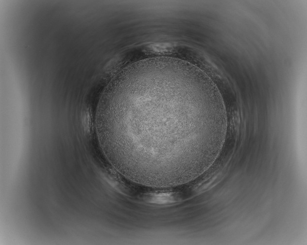 X0000113640651200909181457