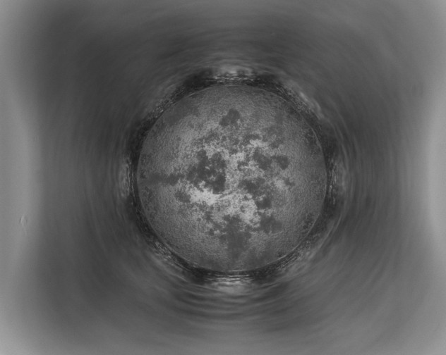 X0000113640659200909181457