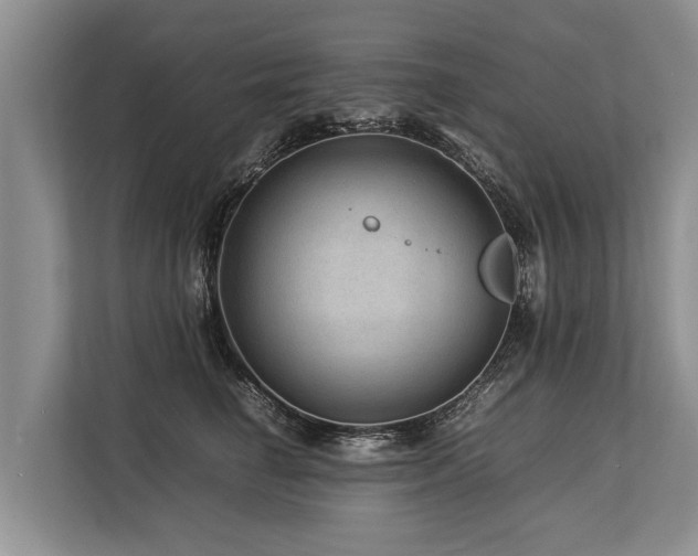 X0000113640662200909181457