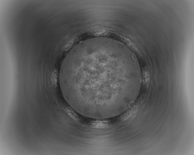 X0000113640664200909181458