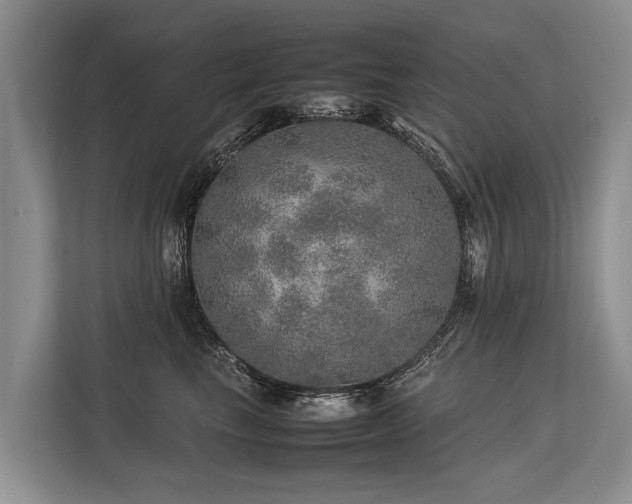 X0000113640665200909181458