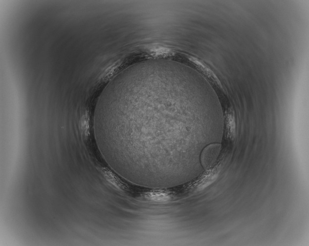 X0000113640668200909181458