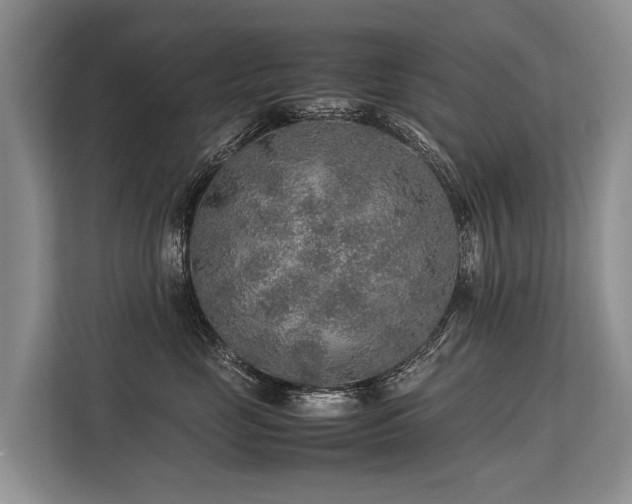 X0000113640669200909181458