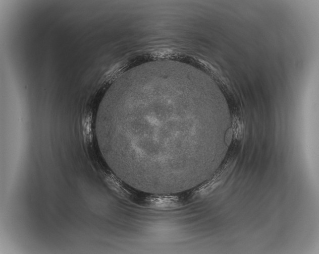 X0000113640670200909181458