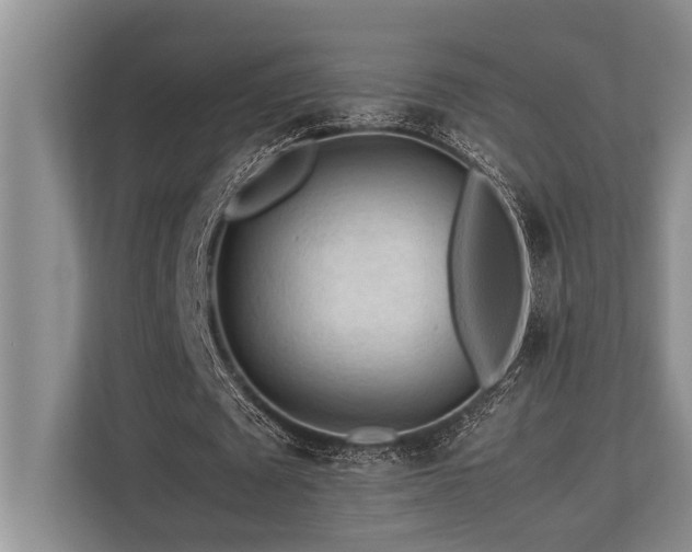 X0000113640673200909181457