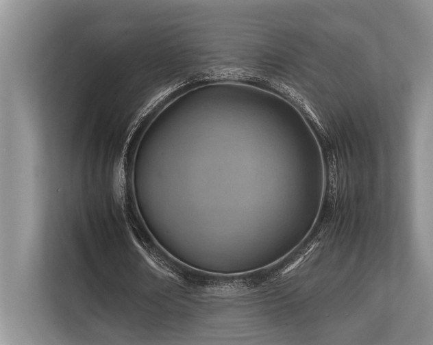 X0000113640674200909181457