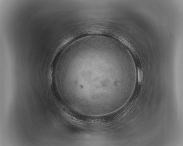 X0000113640675200909181457