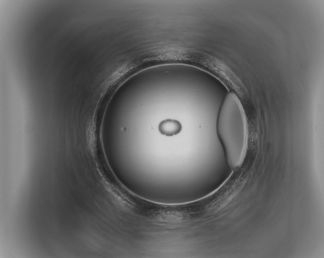 X0000113640677200909181457