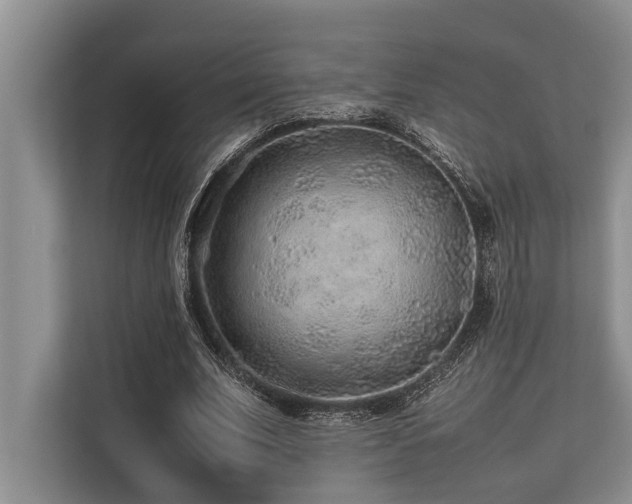 X0000113640679200909181457