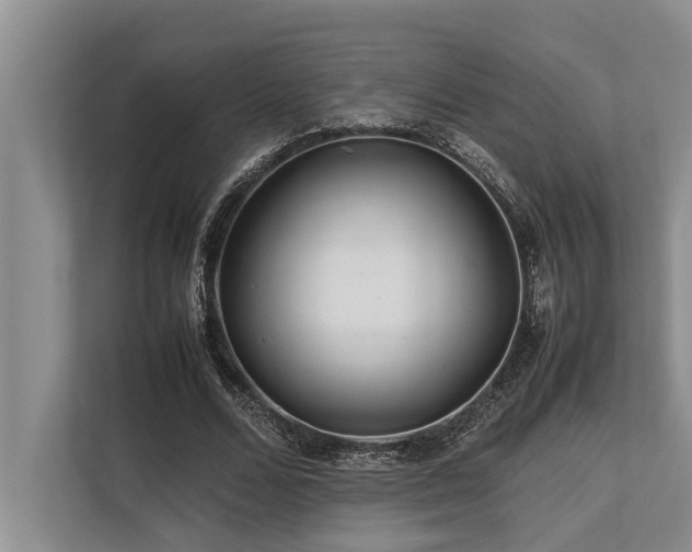 X0000113640680200909181457