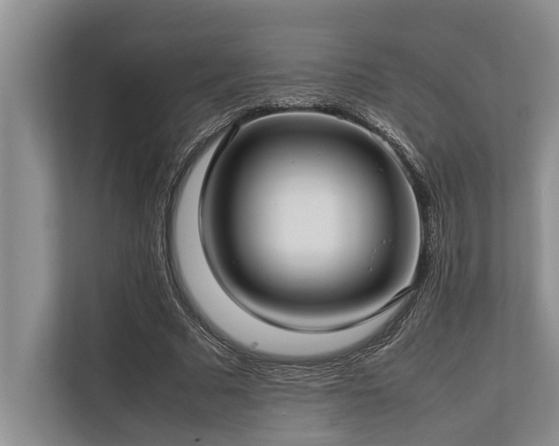 X0000113640681200909181457