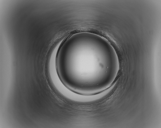 X0000113640685200909181457