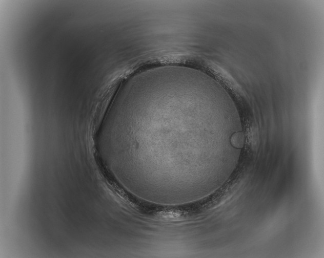 X0000113640687200909181457