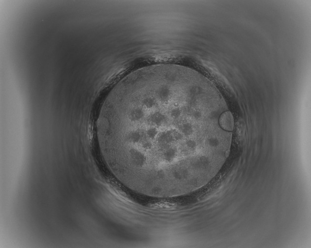 X0000113640691200909181457