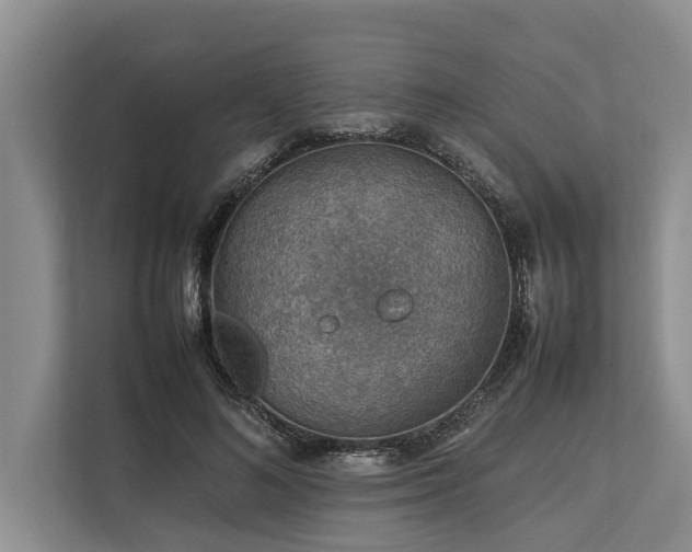 X0000113640692200909181457