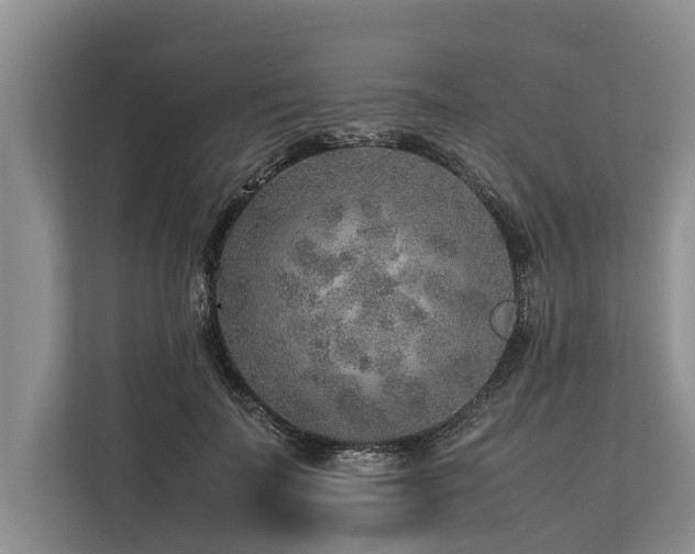 X0000113640699200909181457