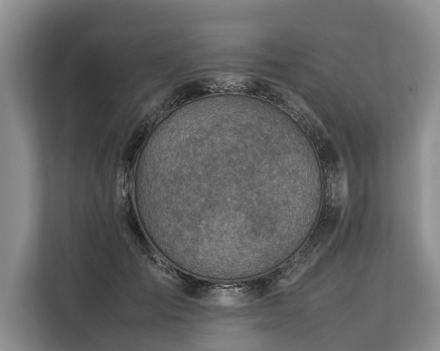 X0000113640701200909181457