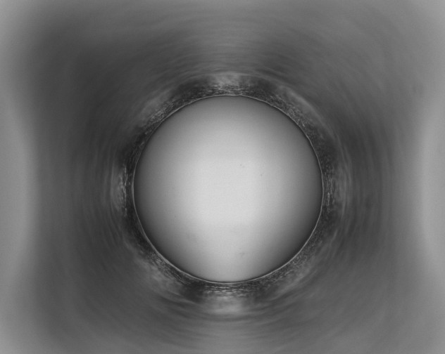 X0000113640702200909181457