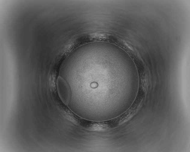 X0000113640708200909181457