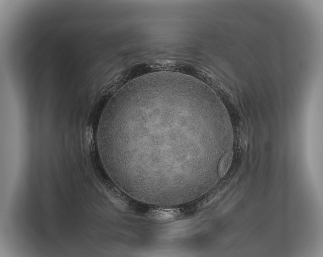 X0000113640711200909181457