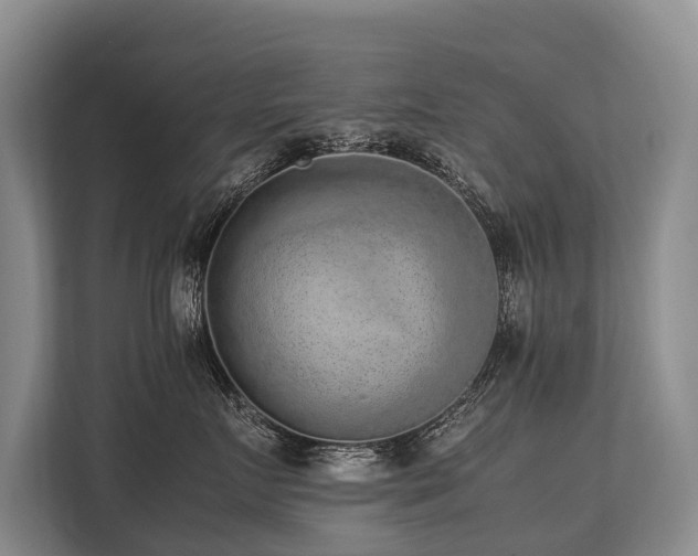 X0000113640719200909181456