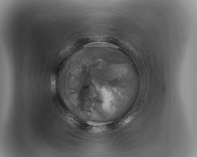 X0000113640720200909181456