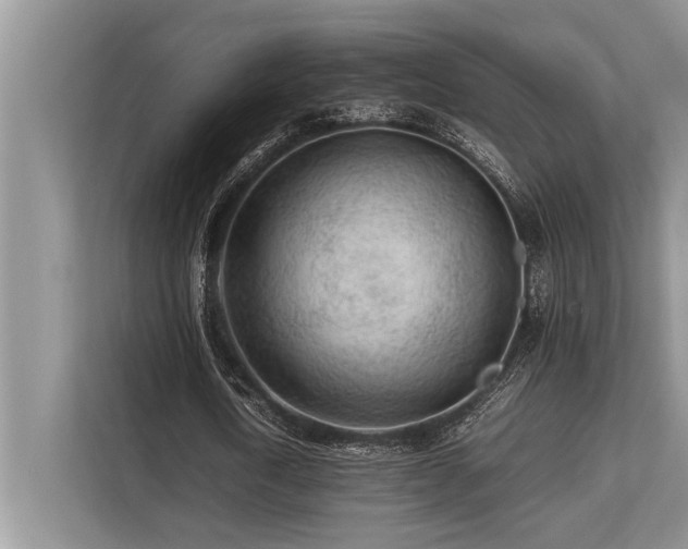 X0000113640722200909181456