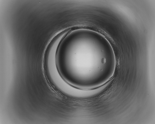 X0000113640724200909181456