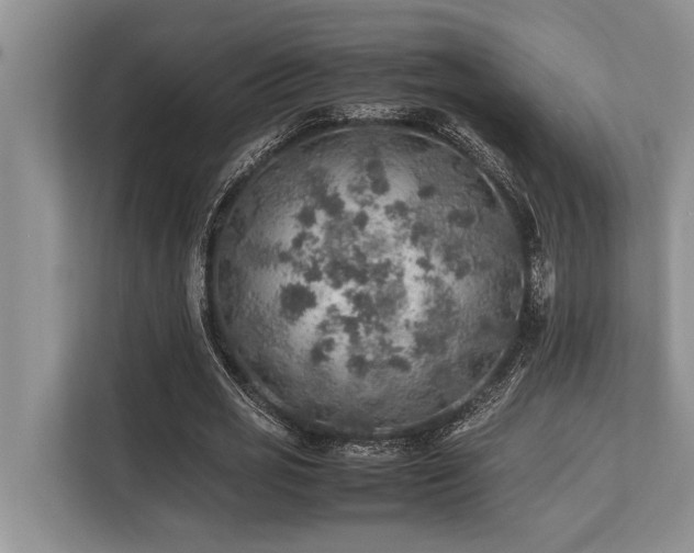 X0000113640725200909181456