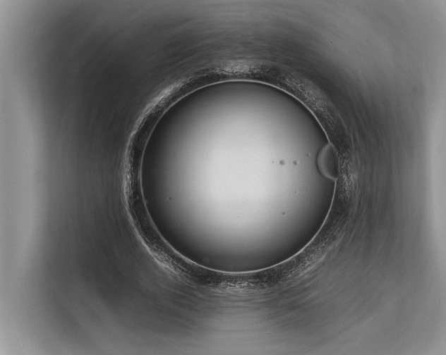 X0000113640728200909181456