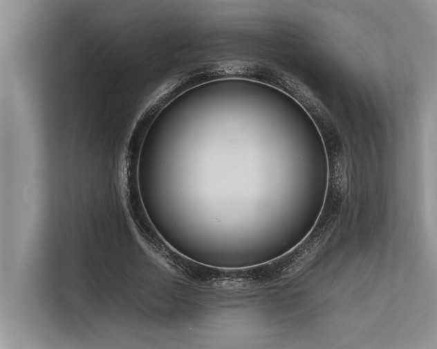 X0000113640730200909181456