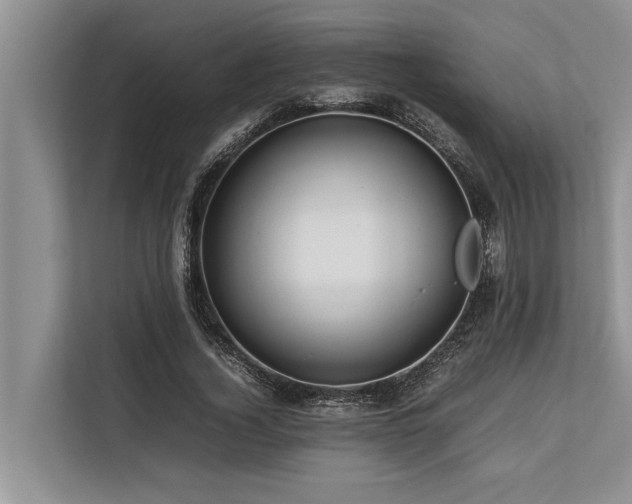 X0000113640732200909181456