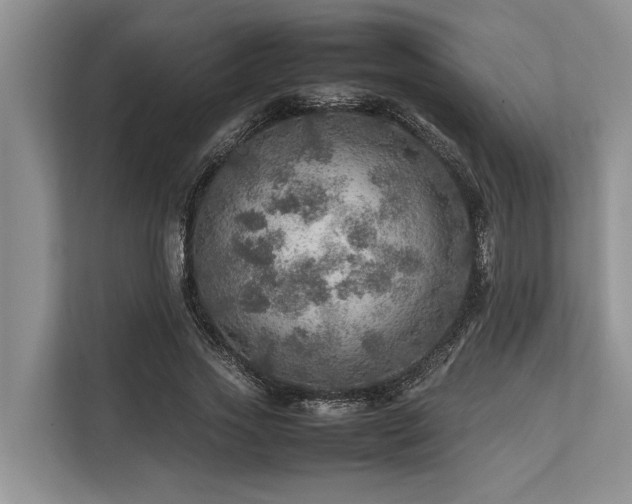 X0000113640733200909181456