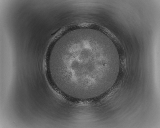 X0000113640734200909181456