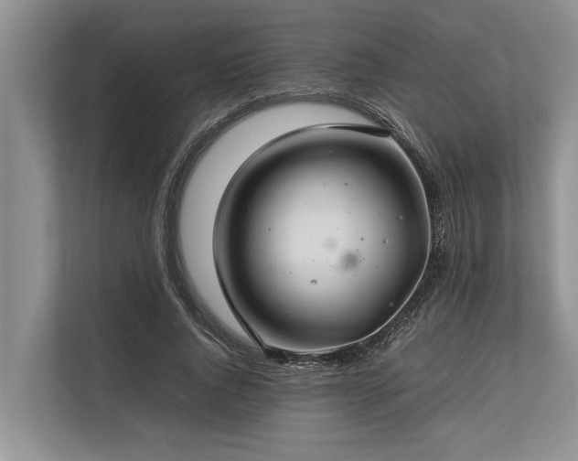 X0000113640736200909181456