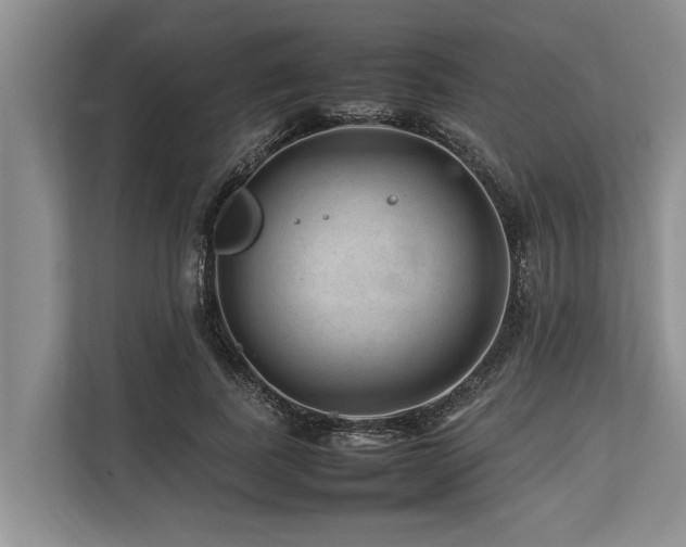 X0000113640739200909181456