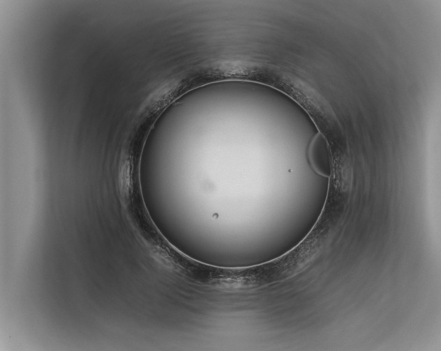 X0000113640740200909181456