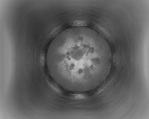 X0000113640741200909181456