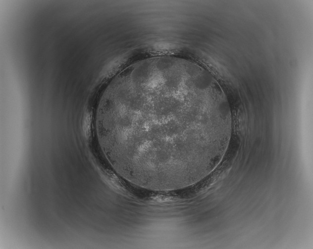 X0000113640742200909181456