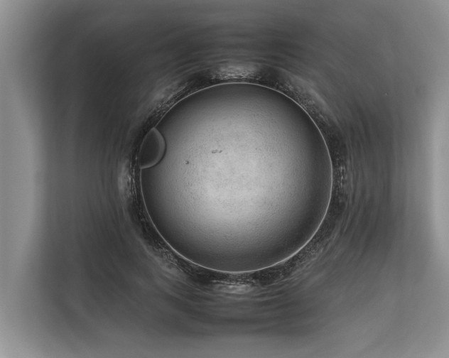 X0000113640743200909181456