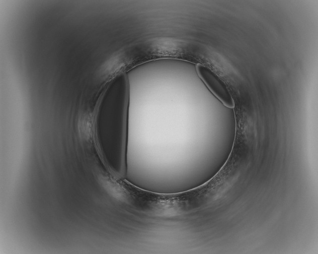 X0000113640744200909181456