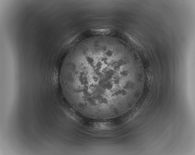 X0000113640745200909181456