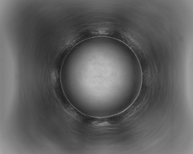 X0000113640747200909181456