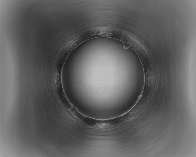 X0000113640748200909181456