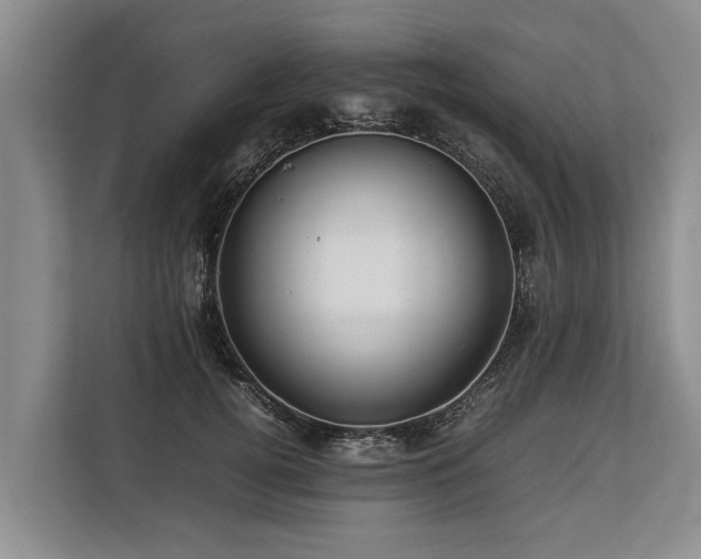 X0000113640752200909181456