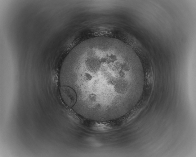 X0000113640753200909181456