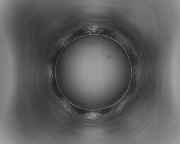 X0000113640754200909181456