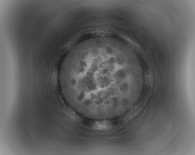 X0000113640757200909181456